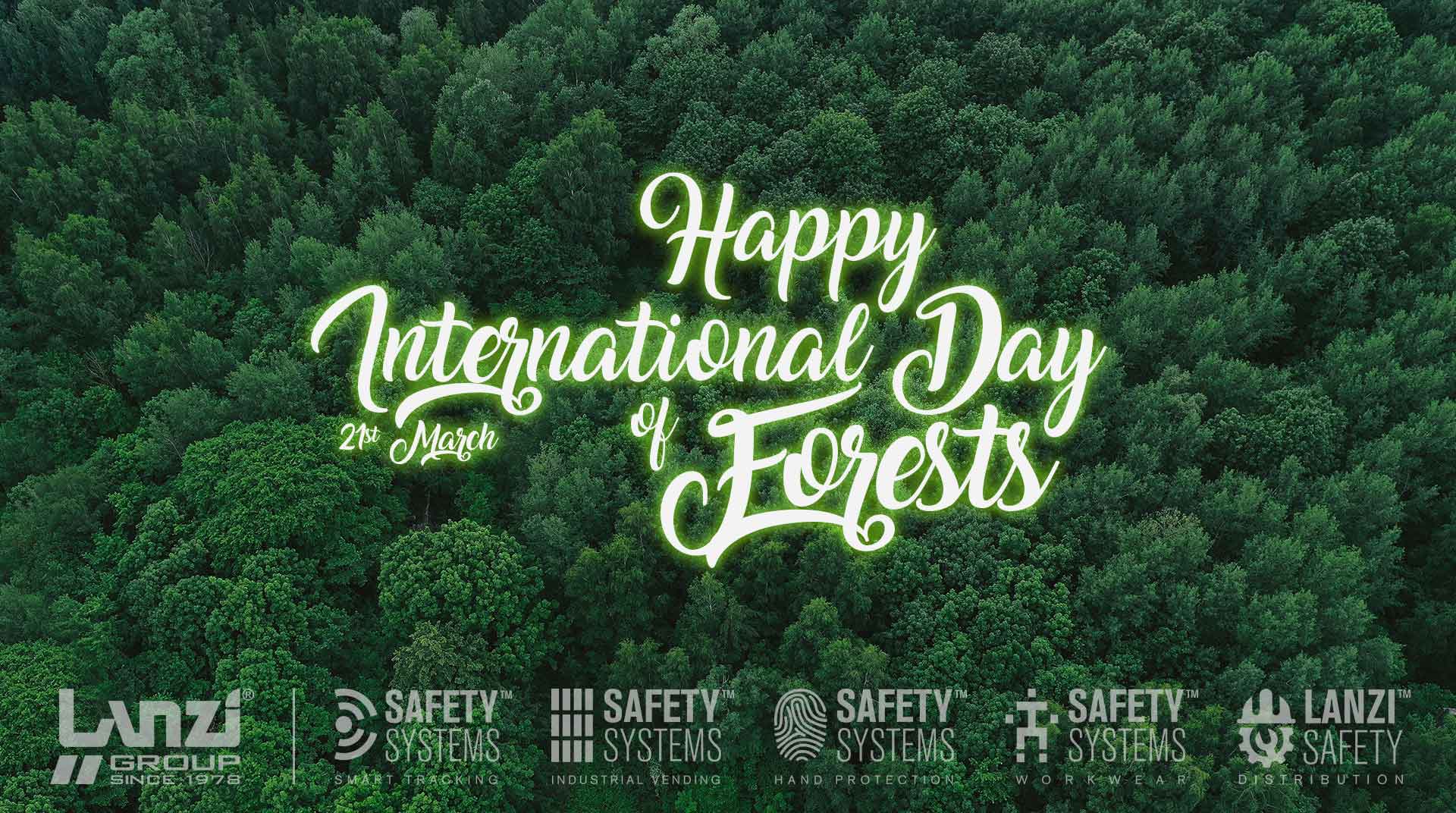 Contribuiamo alla protezione delle foreste: Happy International Day of Forests
